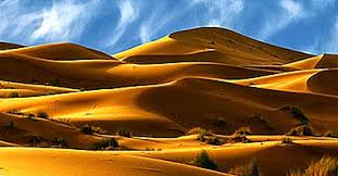 Desertul sahara ocupă o suprafață de aproximativ 3.5 milioane de kilometri pătrați. Principalele PÄƒrÈ›i Ale DeÈ™ertului Sahara Din Africa 2021