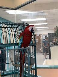 Northwest Seed Pet 2422 E Sprague Ave Spokane Wa Garden Centers Mapquest