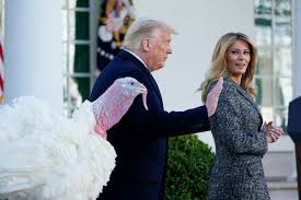 Maybe you would like to learn more about one of these? The Thanksgiving Turkey Pardon Was The Final Humiliation Of Donald Trump The Independent