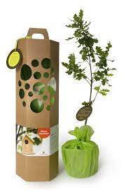 Dennoch möchten viele den neuen hausherren darüber hinaus eine freude bereiten. Happy New Home Baumchen Geschenk Einzug Geschenk Haus Haus Einweihung Geschenk