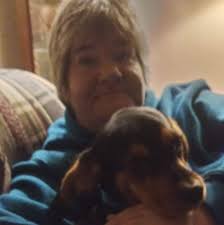 My sweet Buster man. 5 month old mini doxie