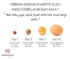 Berapa Banyak Kuantiti Susu Yang Diperlukan Bayi Saya Nuhababy
