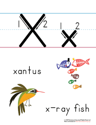 Animals that start with the letter x. Letter X Printable Poster Primarylearning Org