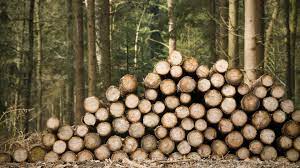 Open today until 8:00 pm. Walts Tree Service
