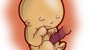 A las 22 semanas de gestación el sistema límbico se está desarrollando para que el bebé muestre sus primeras emociones. Semana 22 El Embarazo Semana A Semana