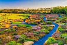 Delaware Botanic Garden - Salute to Summer Solstice & Lunch