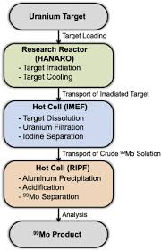 A light isotope of uranium of mass number 235 that when bombarded with slow neutrons undergoes rapid fission into smaller atoms with the release of neutrons and energy Development Of Fission 99mo Production Process Using Hanaro Sciencedirect