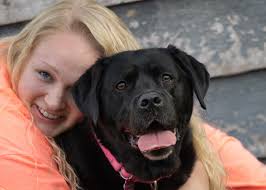 ESSENTIAL Traits to Seek when BUYING a Labrador Retriever