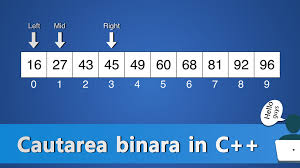 Algoritm Pentru Cautarea Binara In C Tutoriale Pe Net