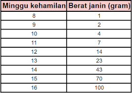 Saya hamil 4 bulan kurang semingguan lagi. Menambah Berat Badan Janin 5 Cara Cegah Bayi Berat Lahir Rendah Theasianparent Indonesia