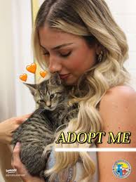 Adopt a Pet: Support Nashville Humane Association Today!