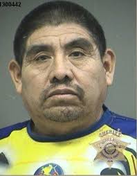 Murder witness remains in jail despite protests: 'I didn't do anything ...  I'm innocent!'