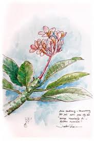 Bunga tulip tergolong sketsa bunga yang paling mudah. Jatmika Sketch Drawing Cara Menggambar Sketsa Lukisan