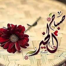 Desertrose جعل الله صباحكم ومساءكم وجميع أيامكم عسل وسكر وتوفيق ورضى ورضوان من الرحيم الرحمن Morning Greeting Good Night Messages Morning Greetings Quotes