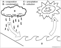 The water cycle color posters & coloring pages for this discussion you may want to use and display the kidzone's water cycle posters found at the bottom of the page in the link provided. Water Cycle Coloring Page Drawing Of The Water Cycle Drawing Water Cycle Coloring Page Image Entitlementtrap Com Water Cycle Worksheet Cycle Drawing Water Cycle