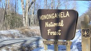 Looking for great camping in monongahela national forest? Monongahela National Forest To Close Campgrounds Until Further Notice
