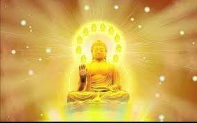 七仙羽，香港風水師，馬來西亞華僑，因多次在viutv電視節目擔任主持和嘉賓而知名。 1 簡介 2 網民討論 2.1 「師傅愛你」成. ä¸ƒä»™ç¾½èªžéŒ„ Posts Facebook