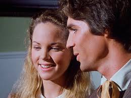 The Illustrated Little House