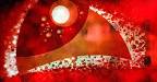 Ceratosoma amoenum - 