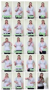 Hand Signals Signing To Train Deaf Dogs Pet Parade