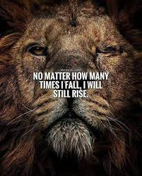 342 Motivational Inspirational Quotes About Success 163 Inspirational Quotes Motivation Lion Quotes Warrior Quotes