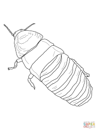 Use crayola® crayons, colored pencils, or markers to color the cicada green, brown, and yellow with red eyes. Madagascar Hissing Cockroach Coloring Page Free Printable Coloring Pages Coloring Home