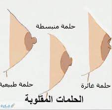 تغريب مزعوم زواج حبوب على الحلمتين guillotinpoilvet com
