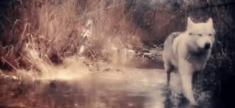 Jun 23, 2021 · jun 23, 2021 at 1:18 pm et 7 min read the detroit pistons will select no. Gif Bahari Wild Ones Musikvideo Animated Gif On Gifer