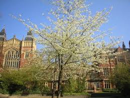 Where I M Trying To Study Abroad To The University Of Leeds Leeds University London In December Study Abroad