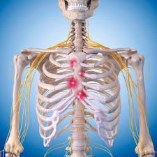 Xiphoid Process: Pain, Lump, Removal, And More