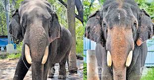 Katina kay onlyfans leaks Katiana Kay Model official