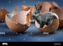 Destiny 2 Cottontail Prophecy Dungeon Shell Print By Wishfullspoon On  Deviantart