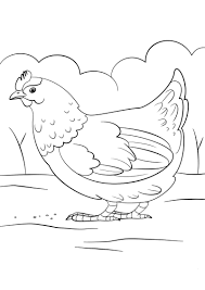Mewarnai gambar ayam mewarnai gambar. Gambar Ayam Mewarnai Anak Tk
