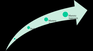 Goal Orientation Theory Educational Psychology