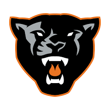 Panther Logo Google Search Panther Logo Panther Logo Design