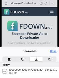 Don't Lose Your Favorite Clips: How to Download Videos From Facebook 