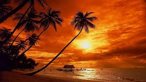 214 beach 4k wallpapers and background images. Sunset Tropical Beach Nature Hd Wallpaper Wallpaperbetter