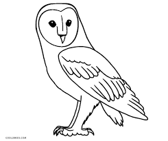 Worksheet barn owl coloring page. Snowy Owl Coloring Page Novocom Top