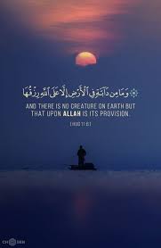 pin by fatima sehaba on dua quran quotes inspirational islamic quotes quran quran verses