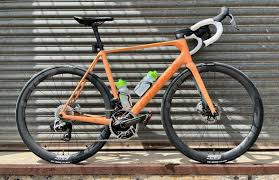Image result for Orbea umbracula