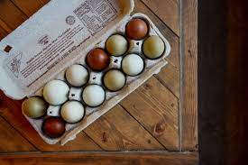 Check spelling or type a new query. What Age Do Black Copper Marans Start Laying Oak Abode