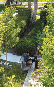 College of Health & Human Services-CSULB Commencement 2024 by  CSULBCommencement