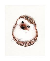 Hedgehog Art Print Watercolor Woodland Animal Illustration Modern Realism Wall Decor Hedgehog Art Animal Illustration Woodland Illustration