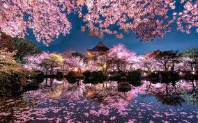 Nature Japon Voyage Onirique Japon Paysage Photographie Du Japon Paysage Asiatique