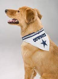 Dallas Cowboys Dog Collar Bandana Football Dog Collar Dallas Cowboys Dog Dogs