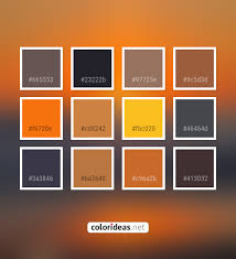It is one color that can be combined with others with ease. Dorado Dark Gray Smoked Ecstasy Orange Color Palette Color Palette Ideas