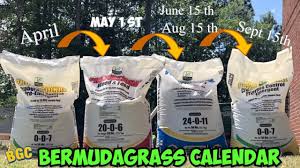 Check spelling or type a new query. Bermuda Grass Calendar For Lawns 2021 Sunniland Fertilizer Lawn Calendar Youtube