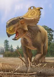 2+ vectors, stock photos & psd files. Dinosaurs Dinosaur Wishlist Mega Thread Page 35 Frontier Forums