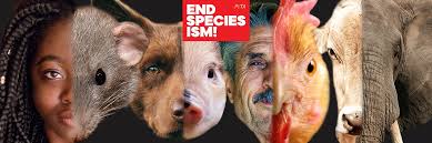 PETA (People for the Ethical Treatment of Animals)