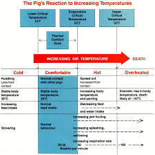 Temperature And Humidity Index For Pigs